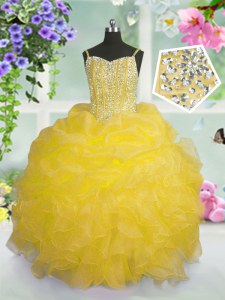 High End Pick Ups Floor Length Ball Gowns Sleeveless Gold Kids Formal Wear Lace Up