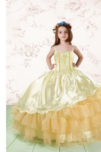 Ruffled Orange Sleeveless Organza Lace Up Girls Pageant Dresses for Party and Wedding Party