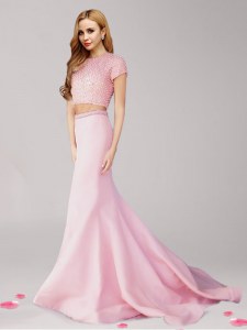 Free and Easy With Train Pink Dress for Prom Scoop Short Sleeves Brush Train Zipper